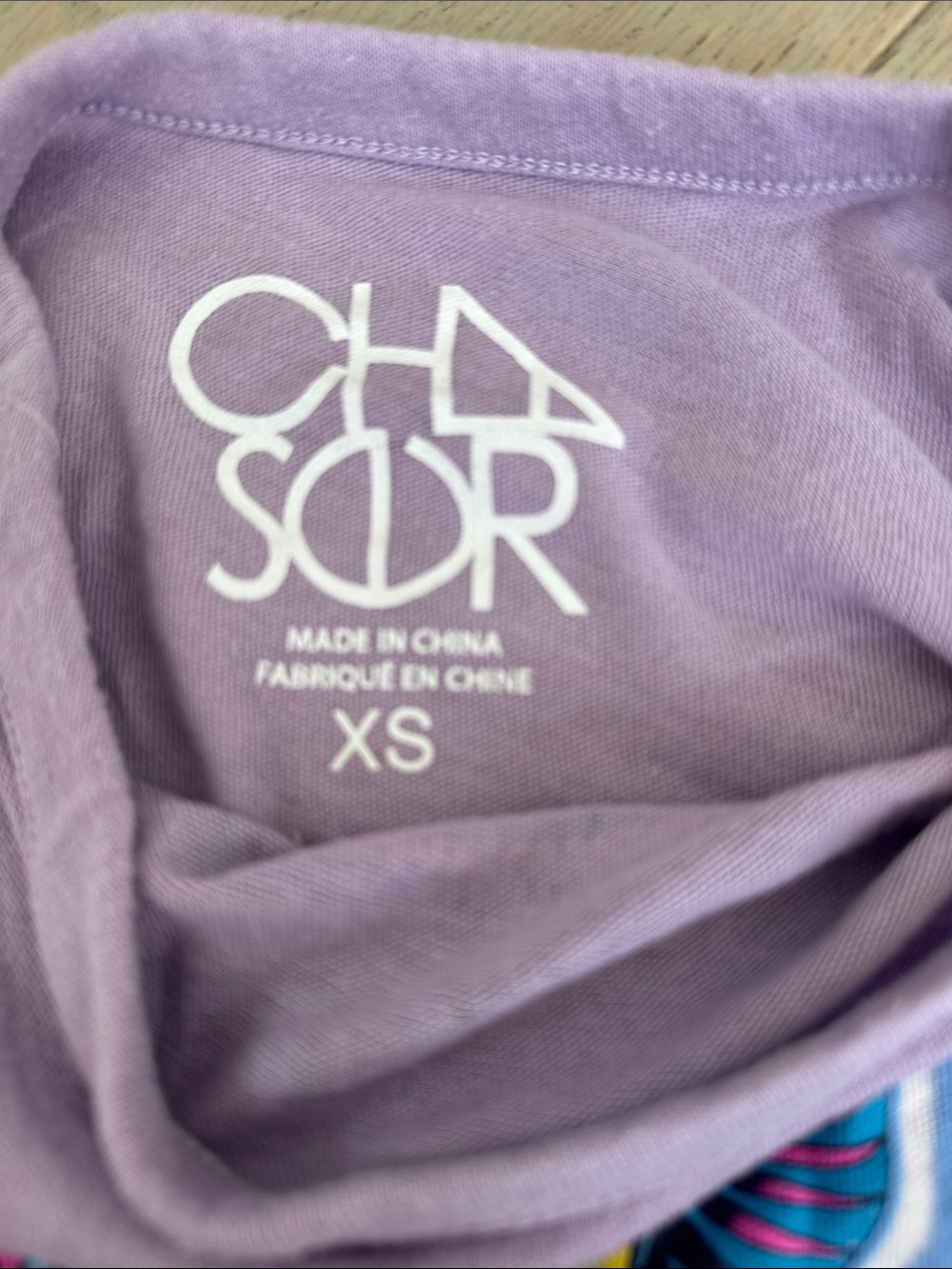 Chaser Dusty Mauve Journey Scarab Graphic Tee - Picture 2 of 2